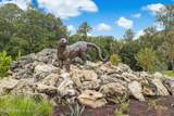 11325 Streamsong Drive - Photo 49
