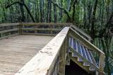 331 Back Creek Drive - Photo 45