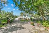 8211 Colee Cove Branch Road - Photo 3