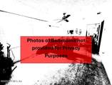 803 17TH Street - Photo 14