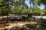163 Swisher Lakes Trail - Photo 14