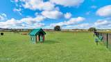 643 Orellana Road - Photo 40