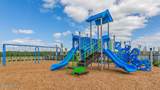 12568 Rose Myrtle Street - Photo 27