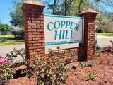 10928 Copper Hill Drive - Photo 43