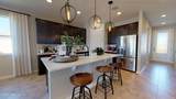 1721 Carnelian Street - Photo 3
