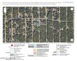 0 Michael Avenue - Photo 9