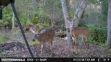 1288 Creek Bend Road - Photo 53