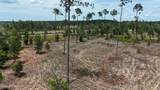 8623 Ford Road - Photo 10