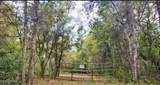 139 Sleepy Hollow Drive - Photo 1