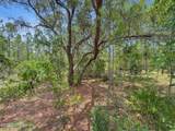 0 Penny Haddock Road - Photo 5