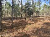 LOT 20 Sw Buena Vista Road - Photo 3