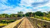3849 Rogero Road - Photo 32