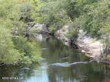 16021 Webb Haven Road - Photo 69