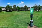 1039 Black Cherry Drive - Photo 45