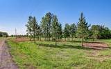 54452 Wildlife Way - Photo 3