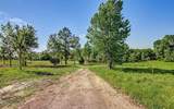 54452 Wildlife Way - Photo 7