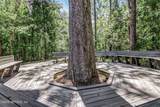 2171 Trailwood Drive - Photo 45