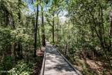 2171 Trailwood Drive - Photo 46