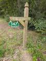 147 Pine Tree Road - Photo 1