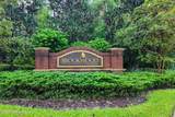 81 Vestavia Court - Photo 48