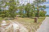 4461 Saddlehorn Trail - Photo 2