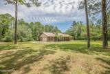 4461 Saddlehorn Trail - Photo 5
