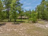 4461 Saddlehorn Trail - Photo 61