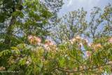 4461 Saddlehorn Trail - Photo 9