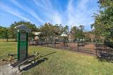 2030 Palmetto Point Drive - Photo 42