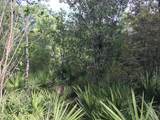 00 Black Creek Tract - Photo 4
