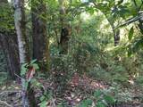00 Black Creek Tract - Photo 7