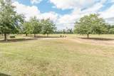 11529 Cowpen Road - Photo 41