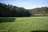 1409 Canopy Oaks Drive - Photo 6
