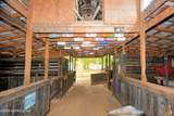 2241 Marlee Road - Photo 52