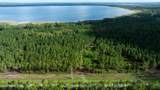 LOT 2 County Road 225 - Photo 1