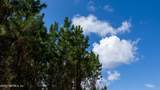 LOT 14 County Road 225 - Photo 4
