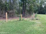3923 Skipper Road - Photo 9