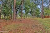1860 Royal Fern Lane - Photo 36
