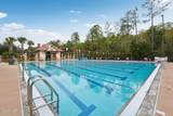 2785 Las Calinas Boulevard - Photo 68