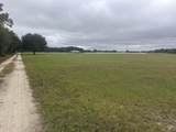 5411 State Road 21 - Photo 15