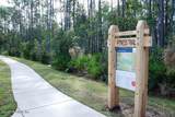 724 Wandering Woods Way - Photo 68