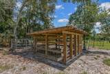 237 Little Orange Creek Road - Photo 28