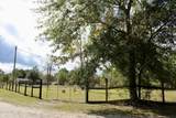 3990 Appaloosa Road - Photo 16