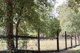 3990 Appaloosa Road - Photo 19