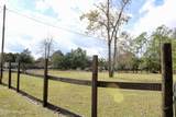 3990 Appaloosa Road - Photo 30