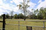 3990 Appaloosa Road - Photo 31