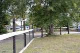 3990 Appaloosa Road - Photo 4