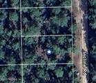 411 Incline Road - Photo 1