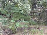 3319 Golden Gem Road - Photo 4