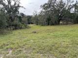 3337 Golden Gem Road - Photo 16